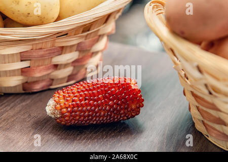 Une oreille de maïs rouge se trouve parmi les légumes sur le marché de l'agriculteur. Variétés et hybrides avancés Banque D'Images