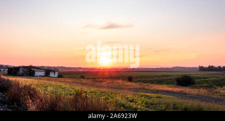 Ancienne grange blanche couverte de vignes sur une ferme humble sous la fin de l'été le coucher du soleil dans la région de terre battue de Pine Island, New York, la taille de la bannière Banque D'Images