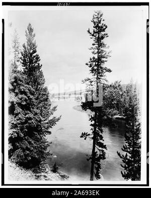 Yellowstone River, à 8 km du lac de Yellowstone, le Parc National de Yellowstone, atteint par la Northern Pacific Railway via passerelle Gardiner Banque D'Images