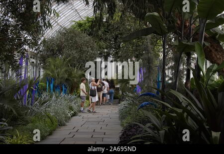 Le Bronx, New York / USA - 13 août 2017 : grand-mère et petit-fils de prendre des photos à l'intérieur de l'Enid A. Haupt Conservatory Banque D'Images