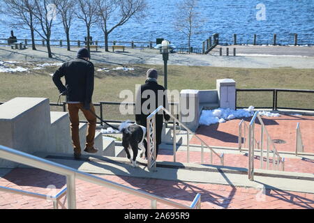 Providence, RI / USA - Mars 17, 2018 : Couple in cold weather gear promènent leurs chiens dans un parc Banque D'Images