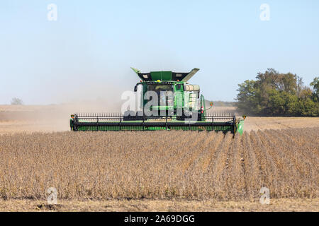 La récolte de soja sud de Wapello, Iowa. Banque D'Images