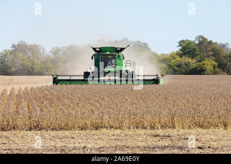 La récolte de soja sud de Wapello, Iowa. Banque D'Images