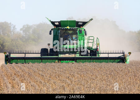La récolte de soja sud de Wapello, Iowa. Banque D'Images