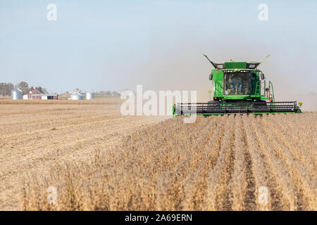 La récolte de soja près de Roscoe, Iowa. Banque D'Images