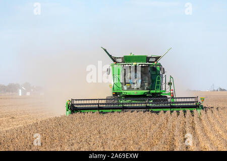 La récolte de soja près de Roscoe, Iowa. Banque D'Images
