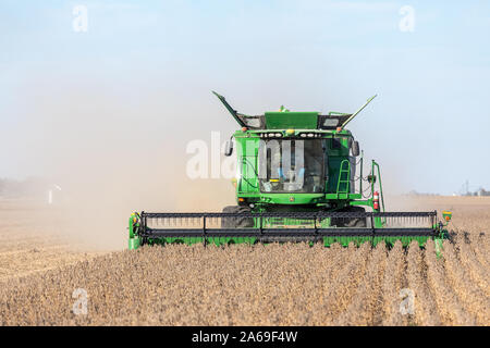 La récolte de soja près de Roscoe, Iowa. Banque D'Images