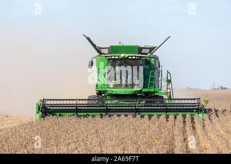 La récolte de soja près de Roscoe, Iowa. Banque D'Images