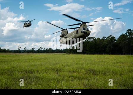 CH-47 Chinook) (du 1er bataillon du 185e Régiment d'aviation, des terres sur la zone de chute au cours de l'effort de l'enclume de l'Arctique le 6 octobre, 2019 au Camp Shelby Joint Forces Training Center. L'enclume de l'Arctique est un exercice de la force de travail sur les tests que la santé mentale et physique de l'endurance des soldats impliqués. La Garde nationale du Mississippi (photo par le Sgt. Shawn Keeton) Banque D'Images