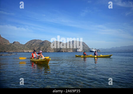 Kayak dans la mer de Cortez, Baja California, Mexique Banque D'Images