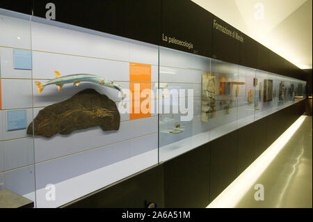 Musée fossiles à Meride, Site du patrimoine mondial de l'Monte San Giorgio, Tessin, Suisse Banque D'Images