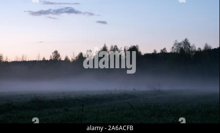 Les magnifiques paysages dans la brume du matin. Automne brouillard crémeux en campagne. Banque D'Images