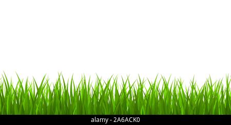 L'herbe verte fraîche vecteur illustrastion frontière. Illustration de Vecteur