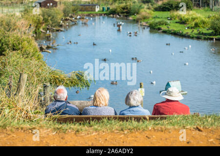 Les personnes âgées bénéficiant de la tranquillité de Blakeney Duck Pond Conservation près de la côte nord du comté de Norfolk dans l'East Anglia, Angleterre, Royaume-Uni. Banque D'Images