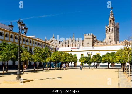 La Cathédrale de Séville et La Giralda de Séville, Andalousie, , Espagne Banque D'Images