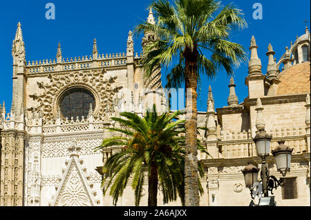 La Cathédrale de Séville et La Giralda de Séville, Andalousie, , Espagne Banque D'Images