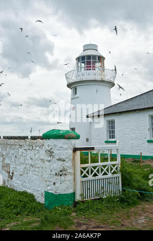 Phare Farne Farne (Intérieur) phare. L'île de Farne intérieure, Northumberland, Angleterre Banque D'Images
