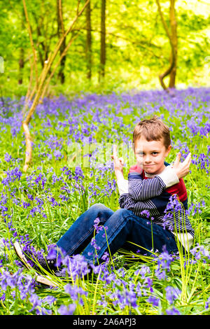 Un beau petit garçon avec le TDAH, l'Autisme, syndrome d'Aspergers est assis et pose pour une photo dans une forêt, bois recouvert de Bluebells, Banque D'Images