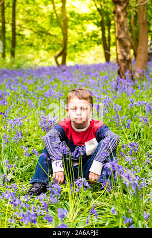 Un beau petit garçon avec le TDAH, l'Autisme, syndrome d'Aspergers est assis et pose pour une photo dans une forêt, bois recouvert de Bluebells, Banque D'Images