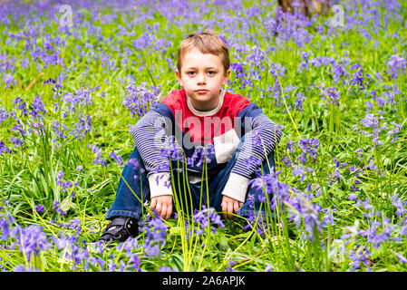 Un beau petit garçon avec le TDAH, l'Autisme, syndrome d'Aspergers est assis et pose pour une photo dans une forêt, bois recouvert de Bluebells, Banque D'Images