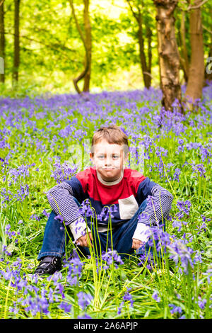 Un beau petit garçon avec le TDAH, l'Autisme, syndrome d'Aspergers est assis et pose pour une photo dans une forêt, bois recouvert de Bluebells, Banque D'Images