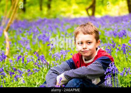 Un beau petit garçon avec le TDAH, l'Autisme, syndrome d'Aspergers est assis et pose pour une photo dans une forêt, bois recouvert de Bluebells, Banque D'Images