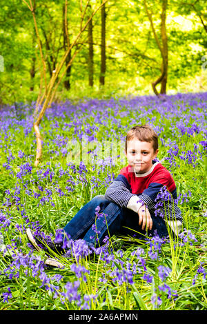 Un beau petit garçon avec le TDAH, l'Autisme, syndrome d'Aspergers est assis et pose pour une photo dans une forêt, bois recouvert de Bluebells, Banque D'Images