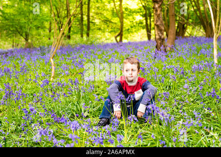 Un beau petit garçon avec le TDAH, l'Autisme, syndrome d'Aspergers est assis et pose pour une photo dans une forêt, bois recouvert de Bluebells, Banque D'Images