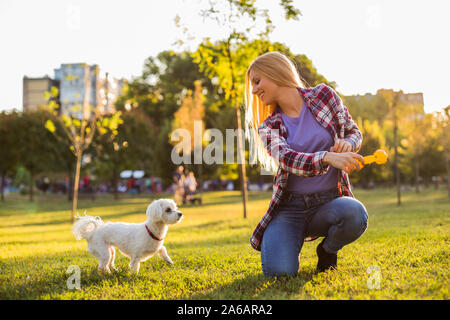 Belle femme joue avec son chien maltais dans le parc. Banque D'Images