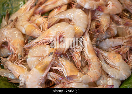 Crevettes pêchées nouvellement sur le comptoir près. Banque D'Images