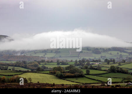 Flintshire, au nord du Pays de Galles, Royaume-Uni. 25 octobre, 2019. Météo France : des températures plus froides et de fortes pluies s'agissant de la neige sur les hauteurs pour certains avec un Met Office d'avertissement jaune en place. De fortes pluies et des températures plus froides dans Flintshire avec hill brouillard sur la gamme Clwydian, Flintshire, Galles Credit : DGDImages/Alamy Live News Banque D'Images