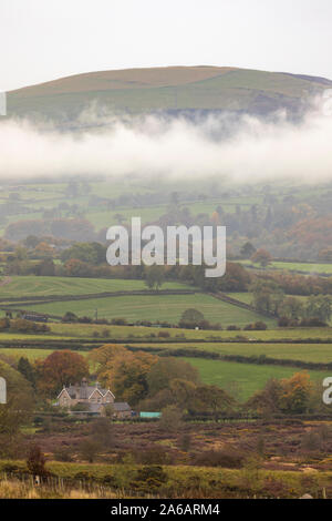 Flintshire, au nord du Pays de Galles, Royaume-Uni. 25 octobre, 2019. Météo France : des températures plus froides et de fortes pluies s'agissant de la neige sur les hauteurs pour certains avec un Met Office d'avertissement jaune en place. De fortes pluies et des températures plus froides en Rhes-y-CAE, Flintshire avec hill brouillard sur la gamme Clwydian Crédit : DGDImages/Alamy Live News Banque D'Images