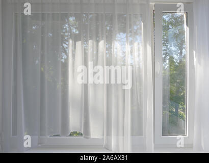 Le matin dans le jardin derrière la fenêtre rideaux transparents Banque D'Images