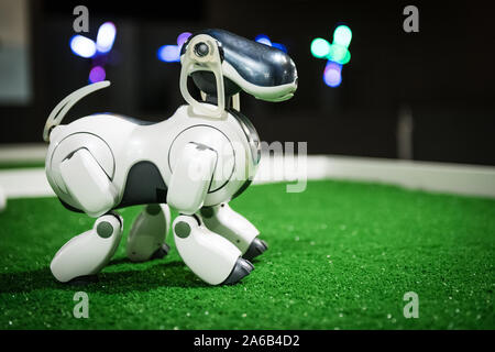 BRATISLAVA, SLOVAQUIE - OCT 25, 2019 : chien robot AIBO démontre ses compétences au Mall à Bratislava, Slovaquie Banque D'Images