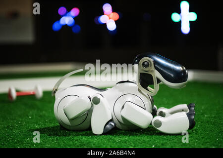 BRATISLAVA, SLOVAQUIE - OCT 25, 2019 : chien robot AIBO démontre ses compétences au Mall à Bratislava, Slovaquie Banque D'Images