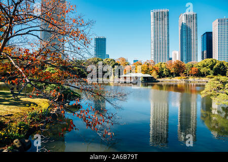 Jardins Hamarikyu, étang et bâtiments modernes à l'automne à Tokyo, Japon Banque D'Images