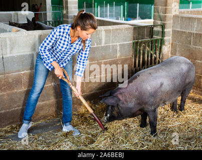 Woman farmer standing avec râteau dans porcherie Banque D'Images