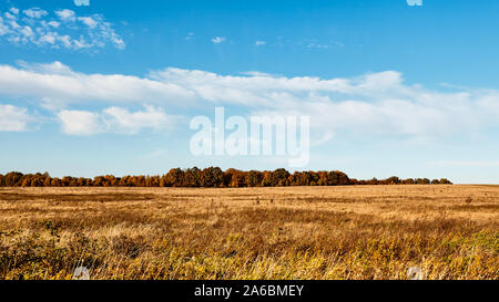Champ. Automne paysage panoramique. Champ d'orange et bleu ciel. Soft focus, de flou. Banque D'Images