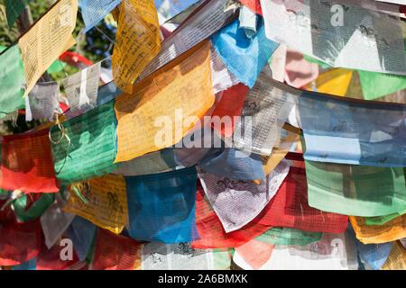 Les drapeaux de prières voler à Quarryhill Botanical Garden, à Glen Ellen, Californie, USA. Banque D'Images