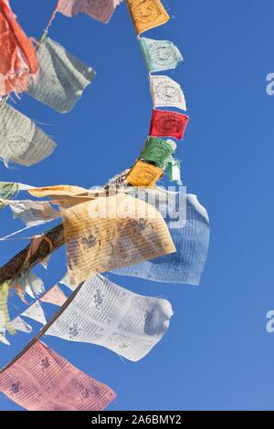 Les drapeaux de prières voler à Quarryhill Botanical Garden, à Glen Ellen, Californie, USA. Banque D'Images