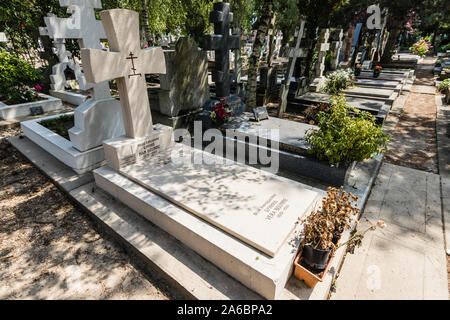 Une tombe tombe du célèbre écrivain russe et Prix Nobel Ivan Bounine et son épouse, dans la Sainte-geneviève-des-Bois Cimetière Russe, France Banque D'Images