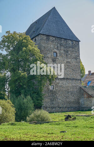 Gardez à l'Siedlecin Ducal fresques les plus anciens conservés en Europe illustrant la légende du Roi Arthur Banque D'Images