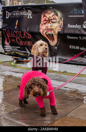 Deux chiens sur les leads, Whitby Goth Week-end Festival, Whitby, North Yorkshire, UK, 25 Octobre 2019 Banque D'Images