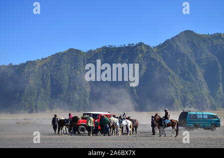 Bromo hourseman et touristique, au Mont Bromo, Parc National de Bromo Tengger Semeru, l'Est de Java, Indonésie Banque D'Images