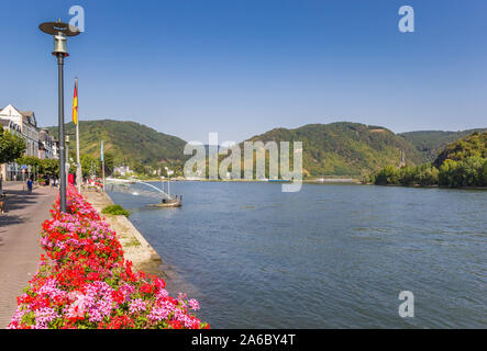 Des fleurs colorées à la promenade à Boppard, Allemagne Banque D'Images