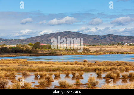 Parc Naturel de Ria Formosa, Quinta do Marim Park au Portugal Banque D'Images