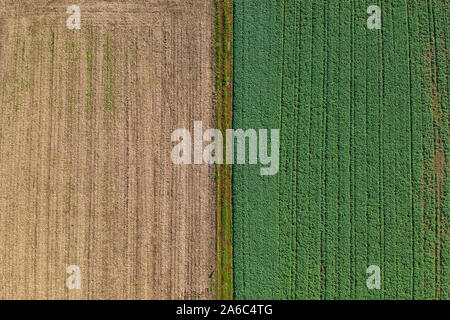 Vue aérienne de champs agricoles Banque D'Images