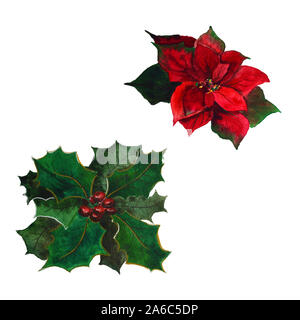 Poinsettia aquarelle avec décoration florale aux baies de Noël Banque D'Images