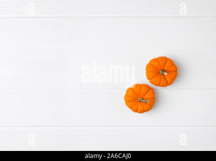 Composition d'automne. Pumpkins sur fond de bois blanc Banque D'Images