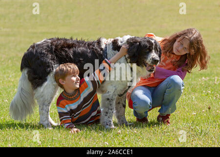 Portrait d'un garçon et une fille de câliner leur grand chien. Banque D'Images